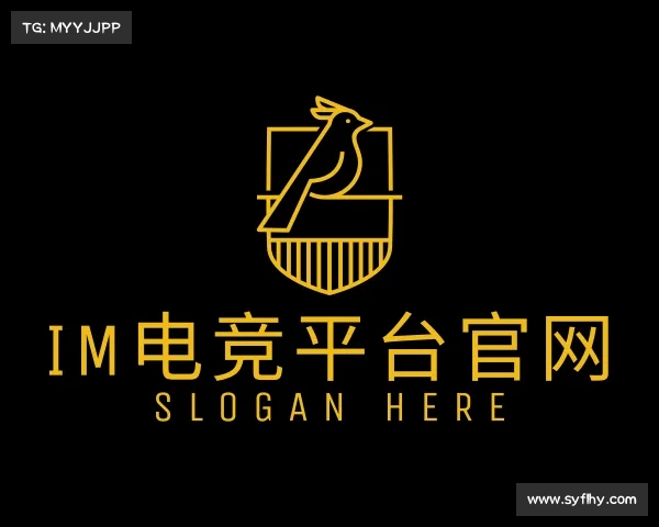 关于im电竞平台官网